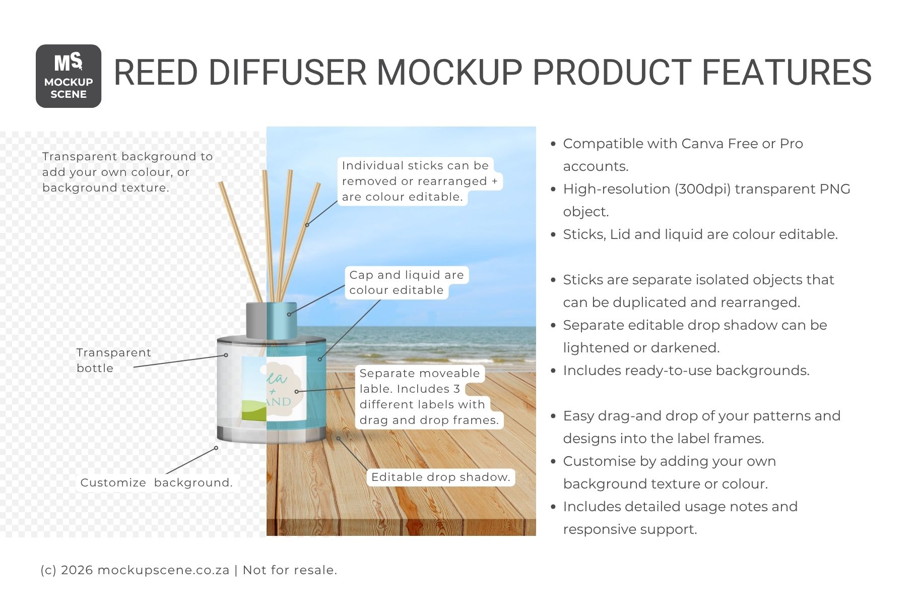 Reed Diffuser Bottle Canva Mockup - Image 2