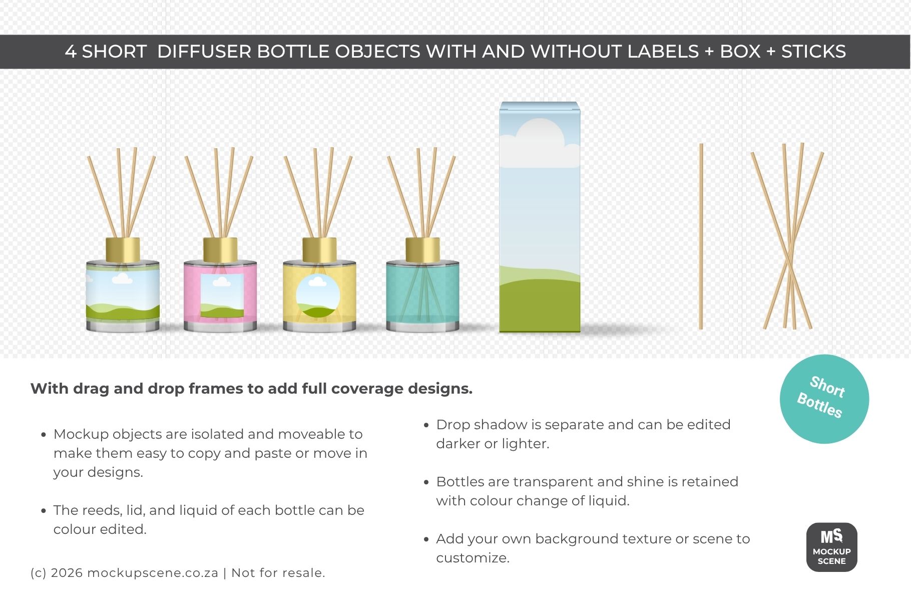 Reed Diffuser Bottle Canva Mockup - Image 4