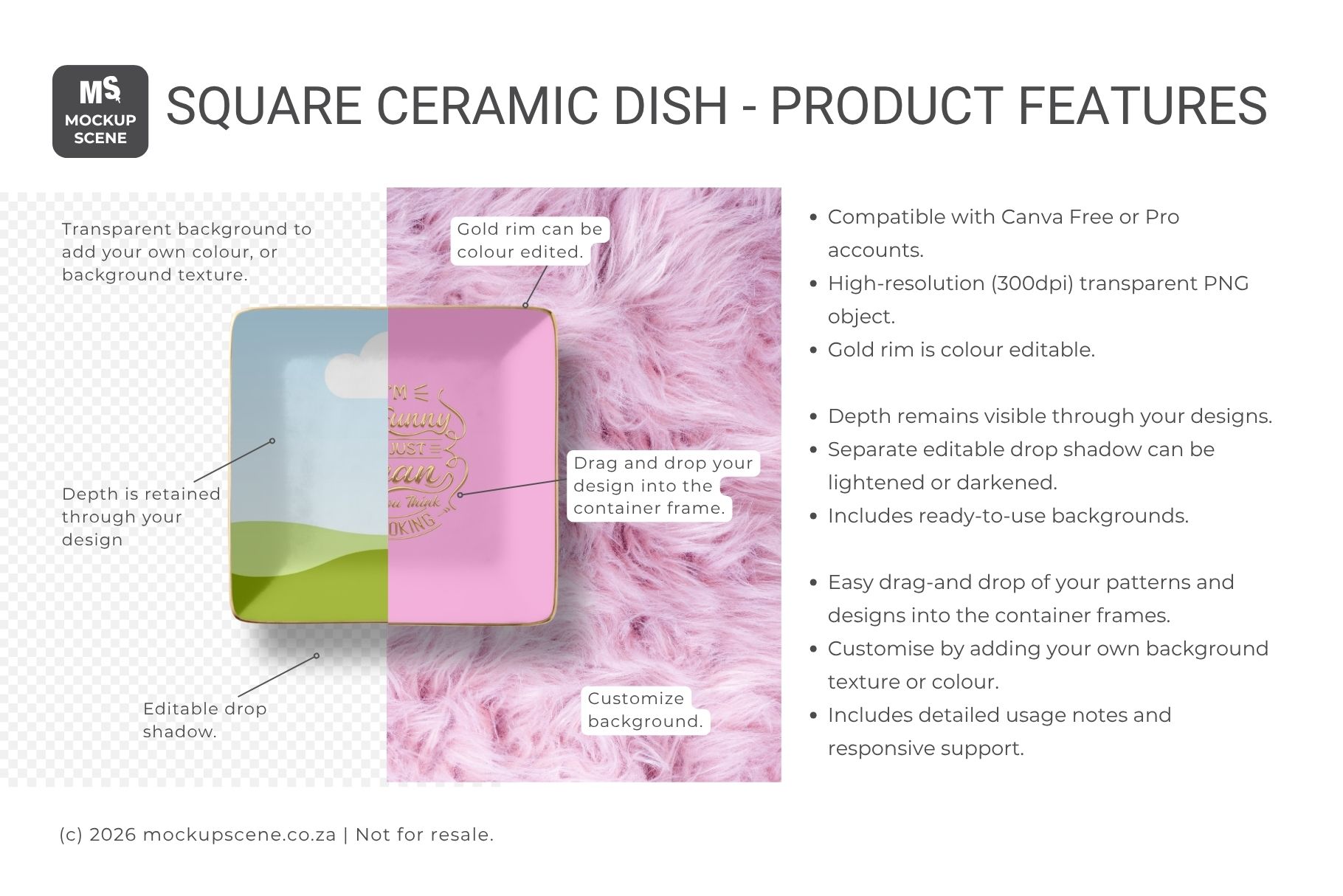 Square Ceramic Dish Canva Mockup - Image 2
